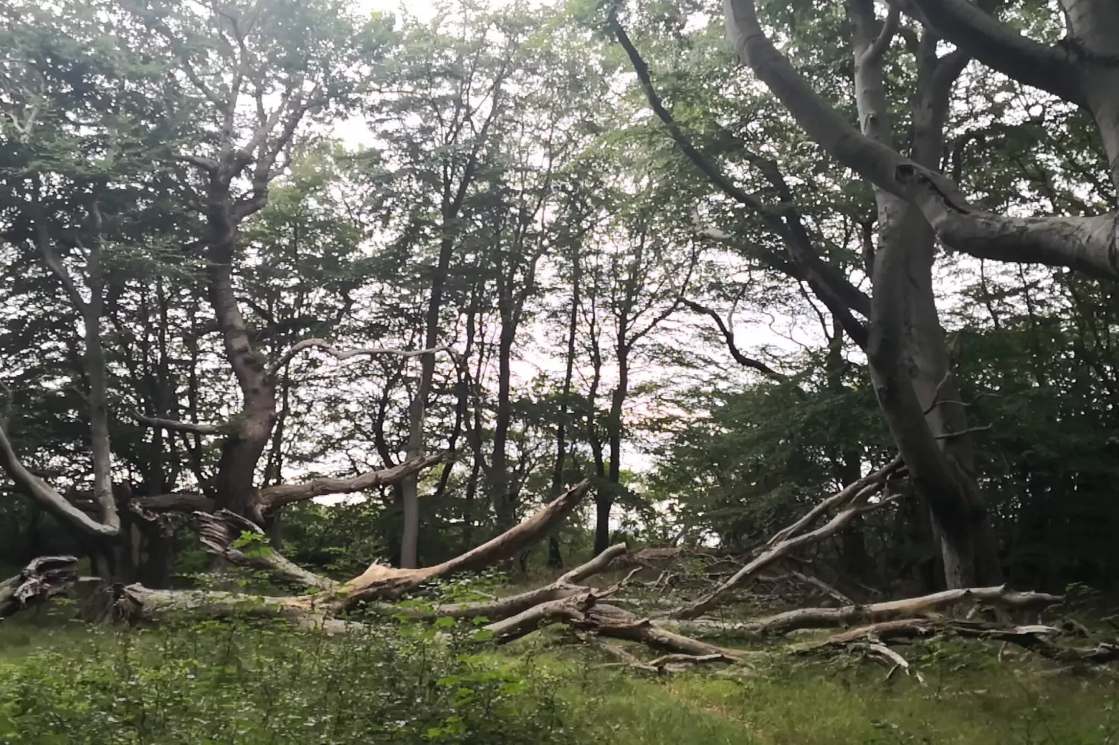 Villa de luxe avec piscine a Lohals -- By Traum Ferienwohnungen-Non tagué