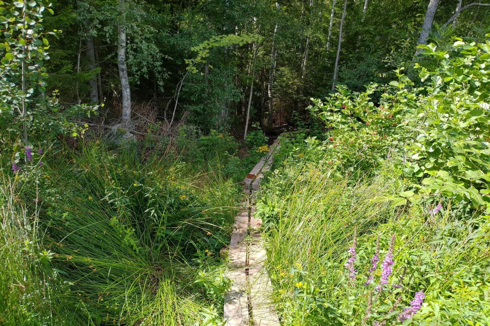 7 Personen Ferienhaus in VIRSERUM-By Traum-Nicht zugeordnet