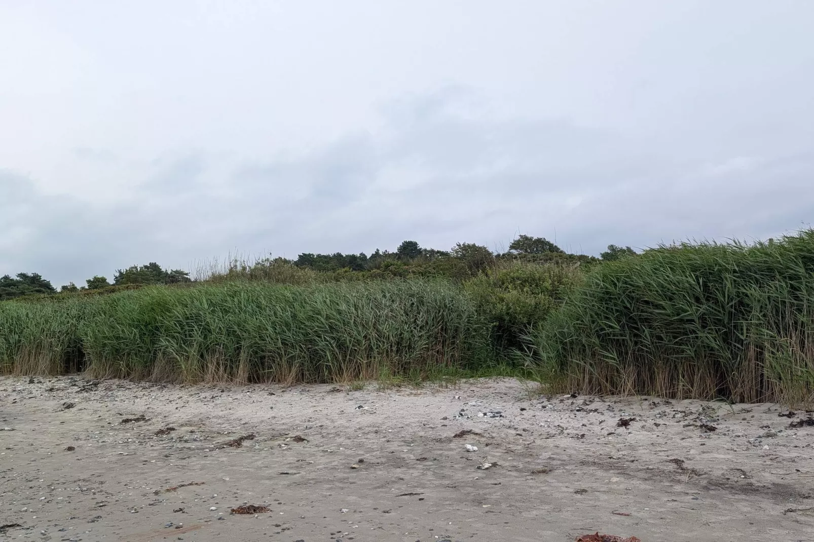 4 Personen Ferienhaus in Allingåbro-By Traum-Nicht zugeordnet