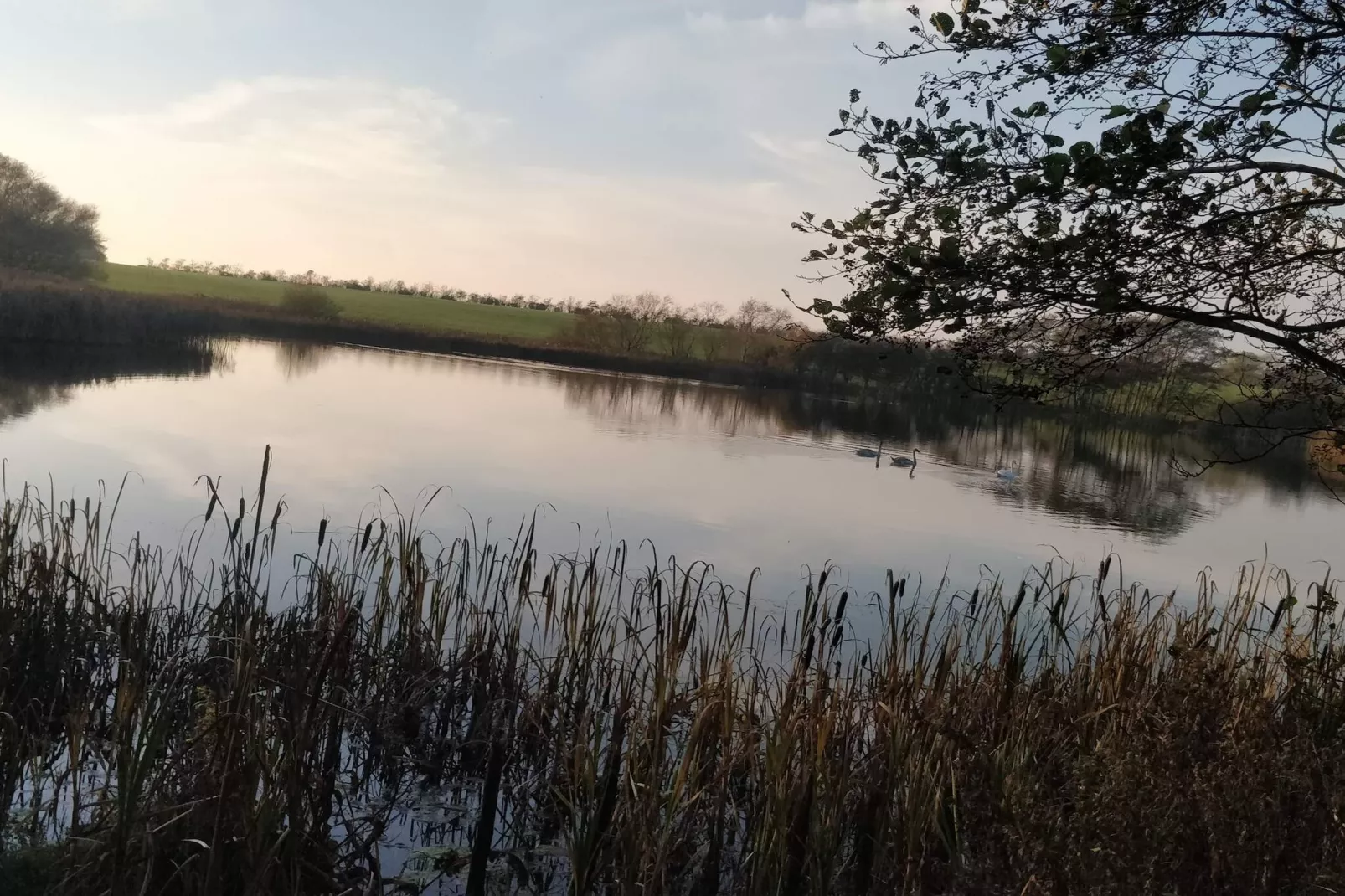 6 person holiday home in Løgstør-Water view