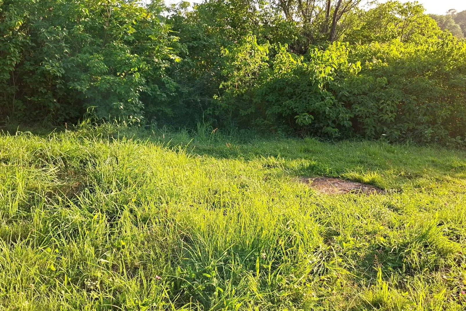 4 Personen Ferienhaus in TORSHÄLLA-By Traum-Nicht zugeordnet