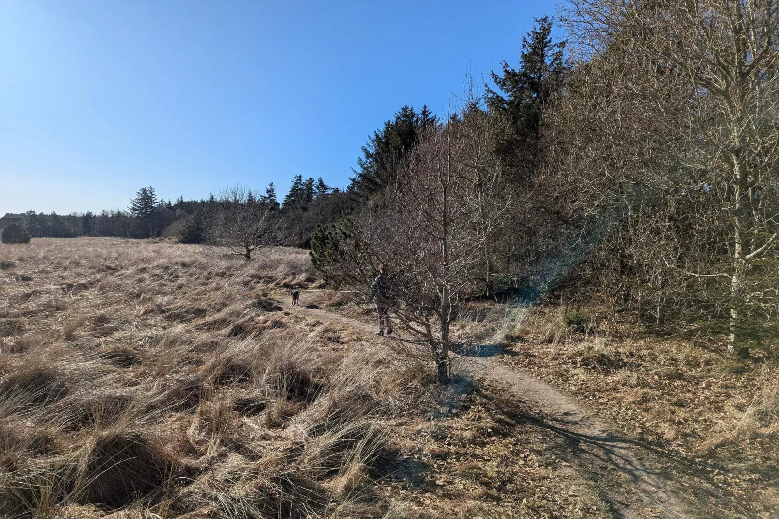 Maison de vacances pour 6 a Pandrup-Non tagué