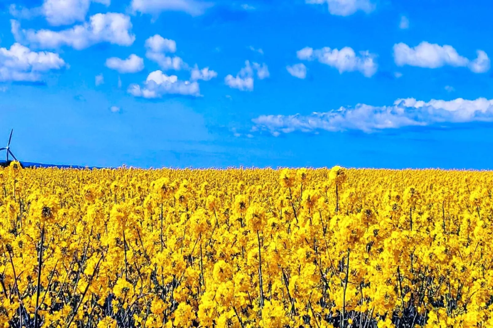 4 Personen Ferienhaus in Jægerspris-By Traum-Wasserblick