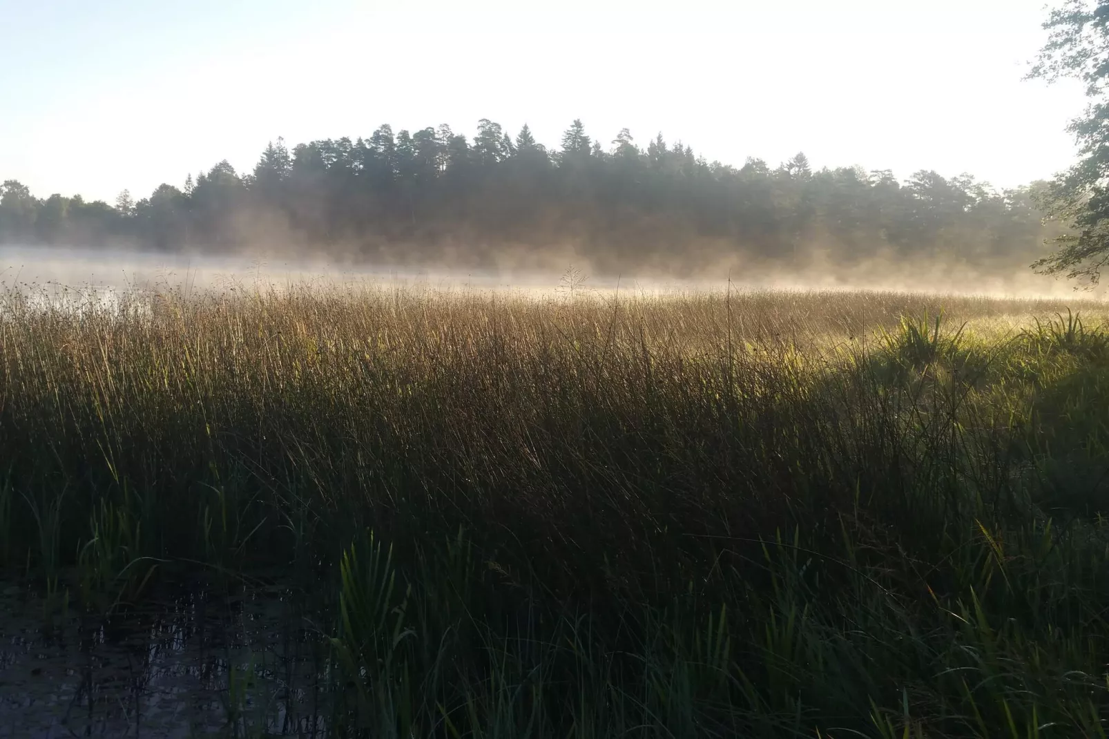 6 person holiday home in ÅSBRO-By Traum-Untagged