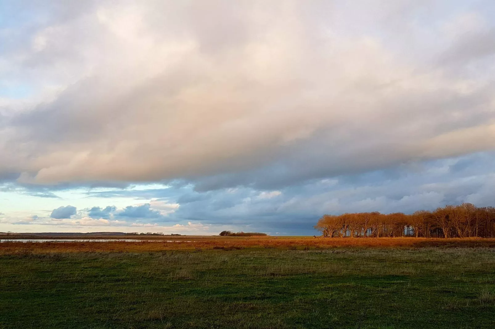 8 Personen Ferienhaus in Bogense-By Traum-Nicht zugeordnet