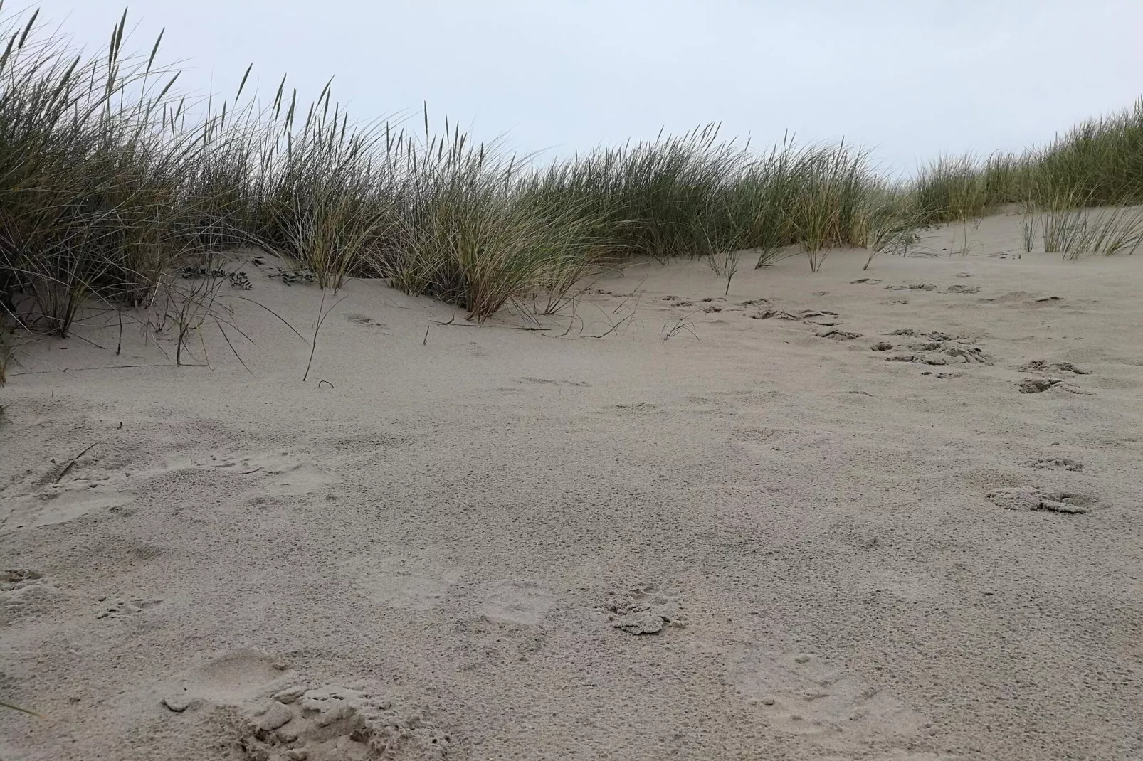 10 person holiday home in Fjerritslev-By Traum-Untagged