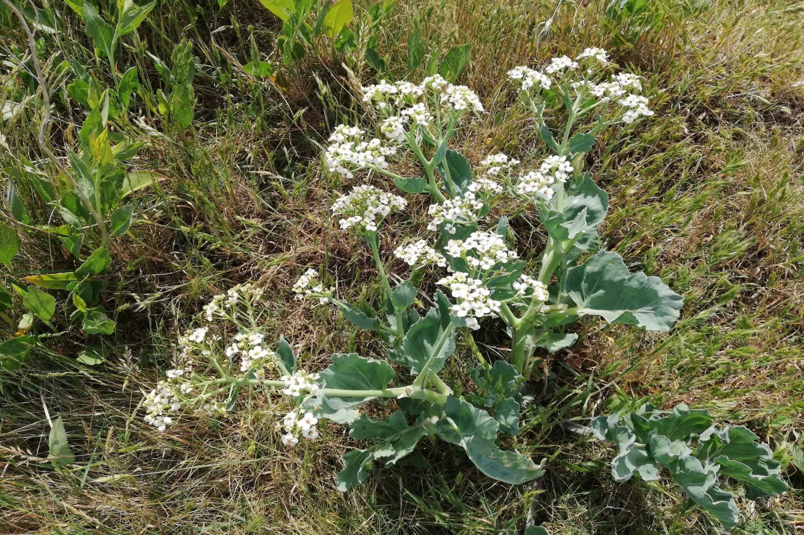 Retraite panoramique a Borgnaes -- By Traum Ferienwohnungen-Non tagué