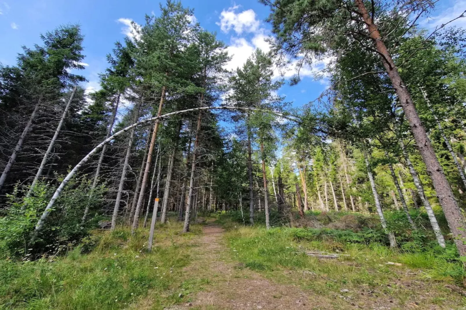 7 Personen Ferienhaus in BRUZAHOLM-By Traum-Nicht zugeordnet