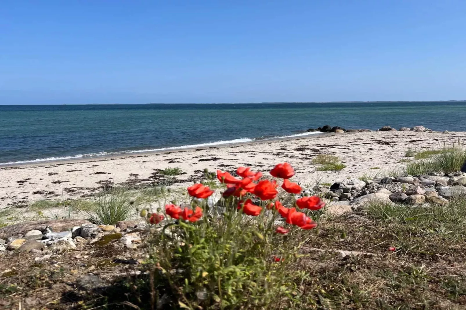 8 Personen Ferienhaus in Otterup-By Traum-Wasserblick