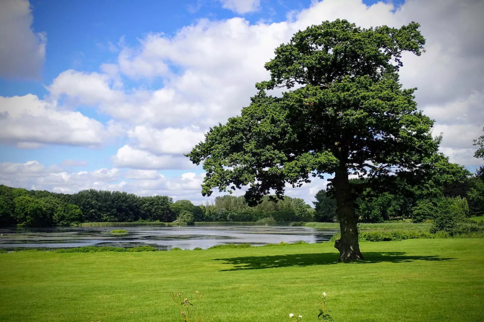 7 person holiday home in Svendborg-By Traum-Untagged