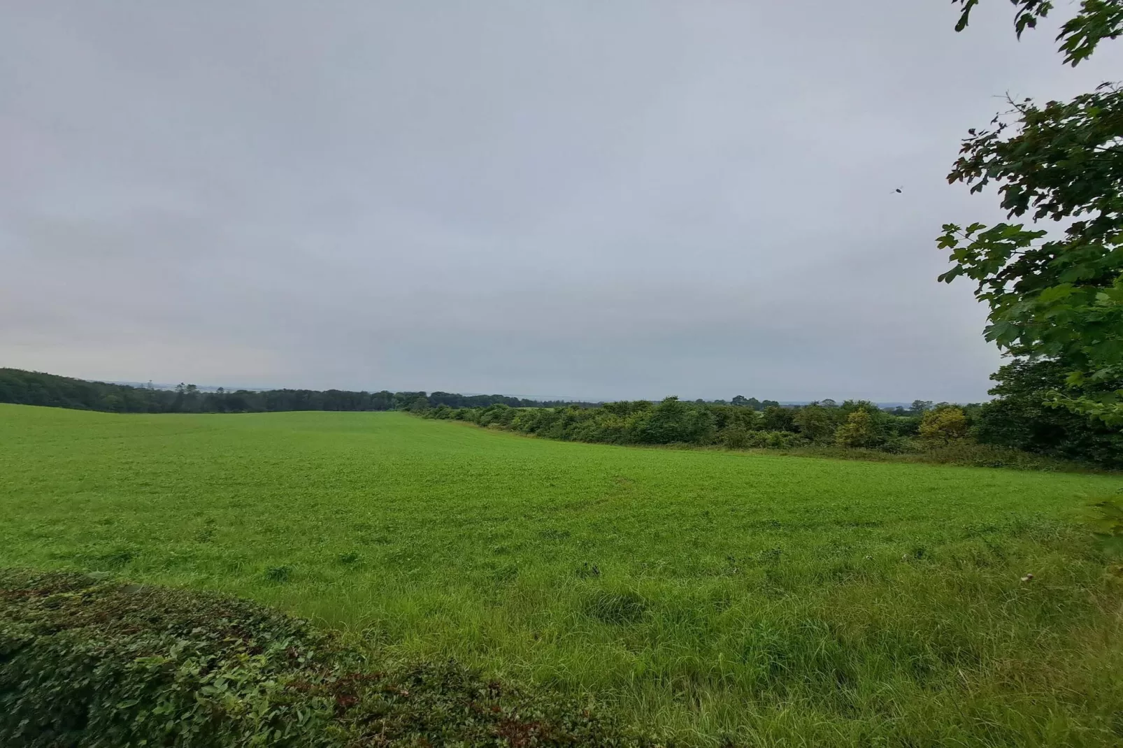 4 person holiday home in Glesborg-By Traum-Untagged