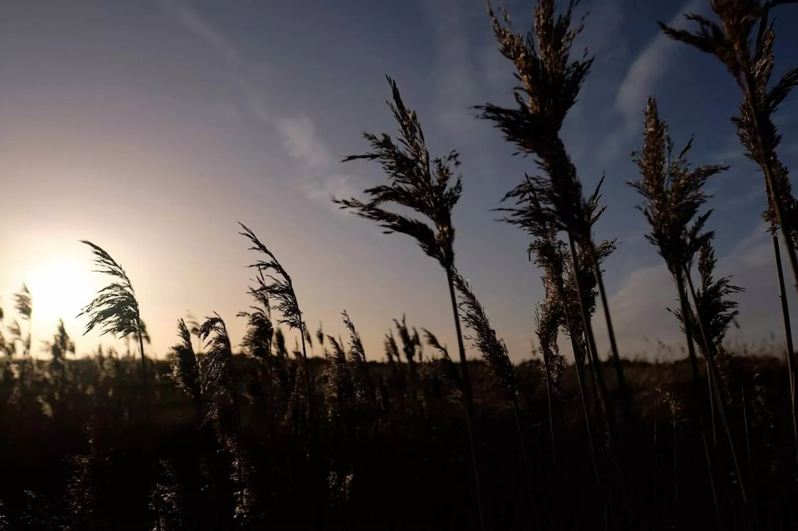 6 person holiday home in Hals-By Traum-Untagged