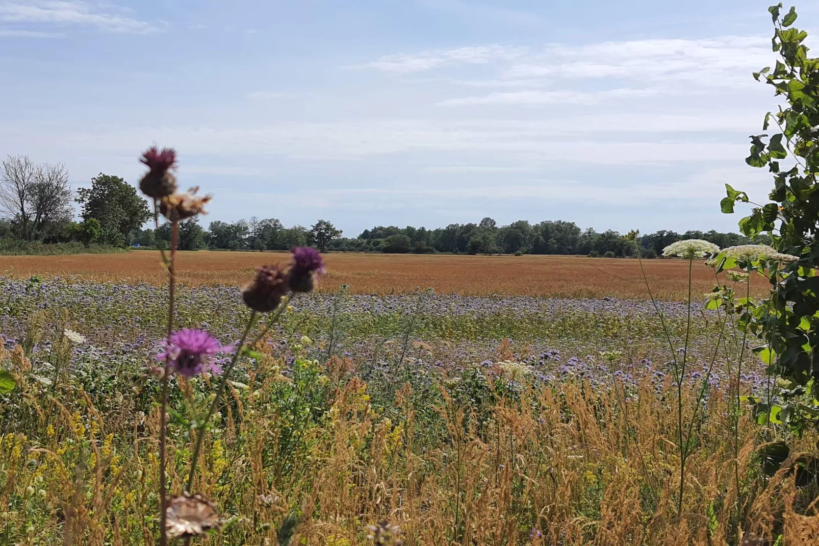 Maison de vacances pour 6 a Löttorp-Non tagué