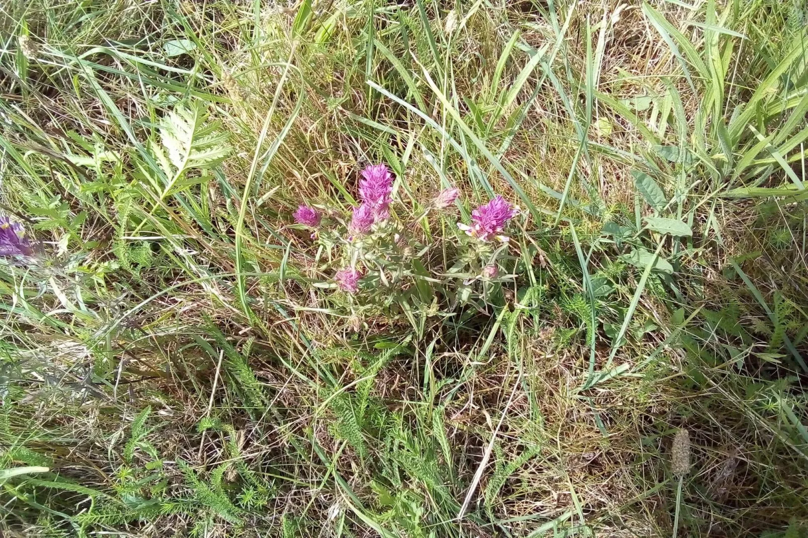 4 Personen Ferienhaus in Føllenslev-By Traum-Nicht zugeordnet