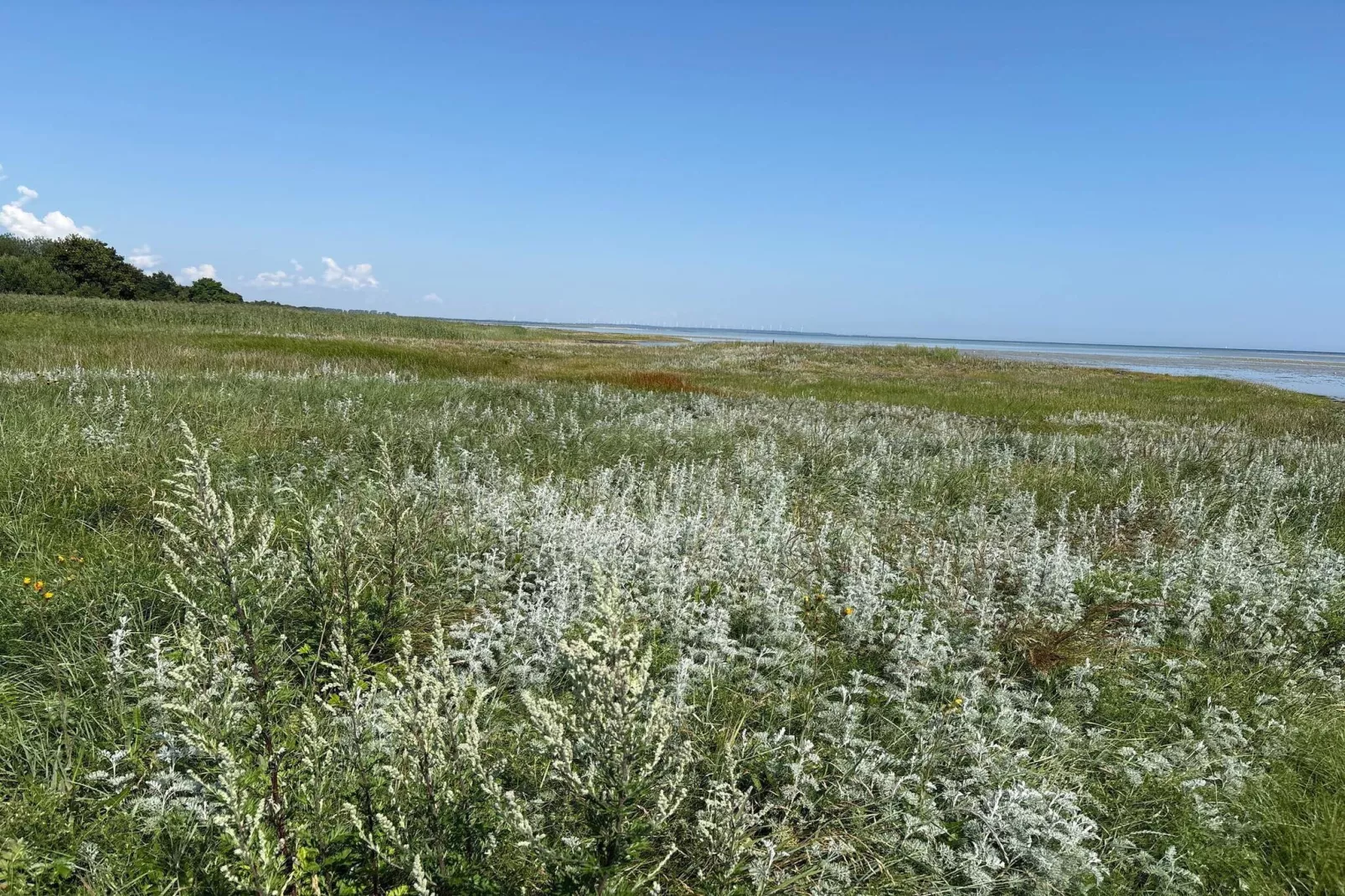 Tranquil Oasis with Pool - By Traum Ferienwohnungen-Untagged