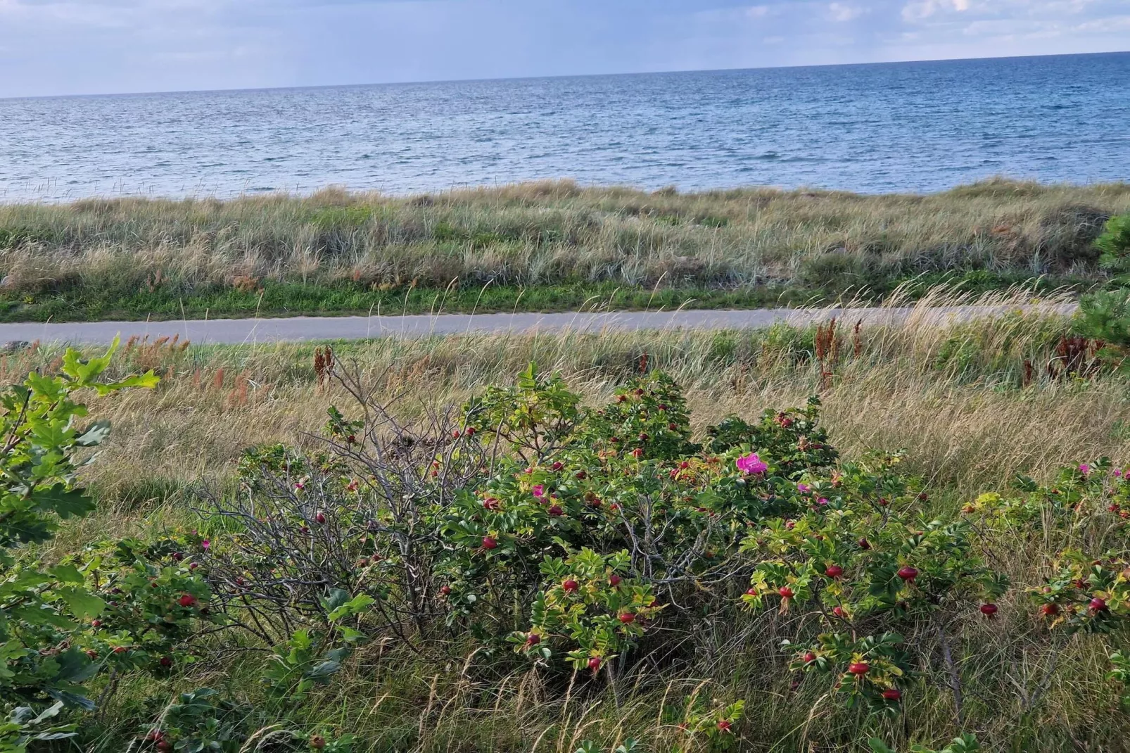 Summer house with wellness area-Untagged