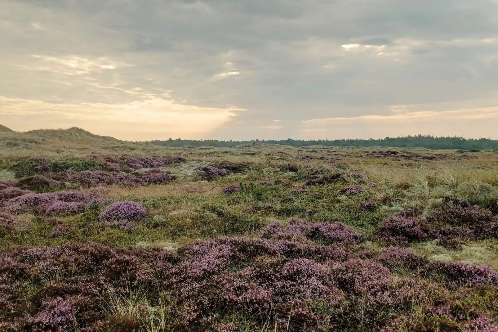 Seaside Bliss in albaek - By Traum Ferienwohnungen-Untagged