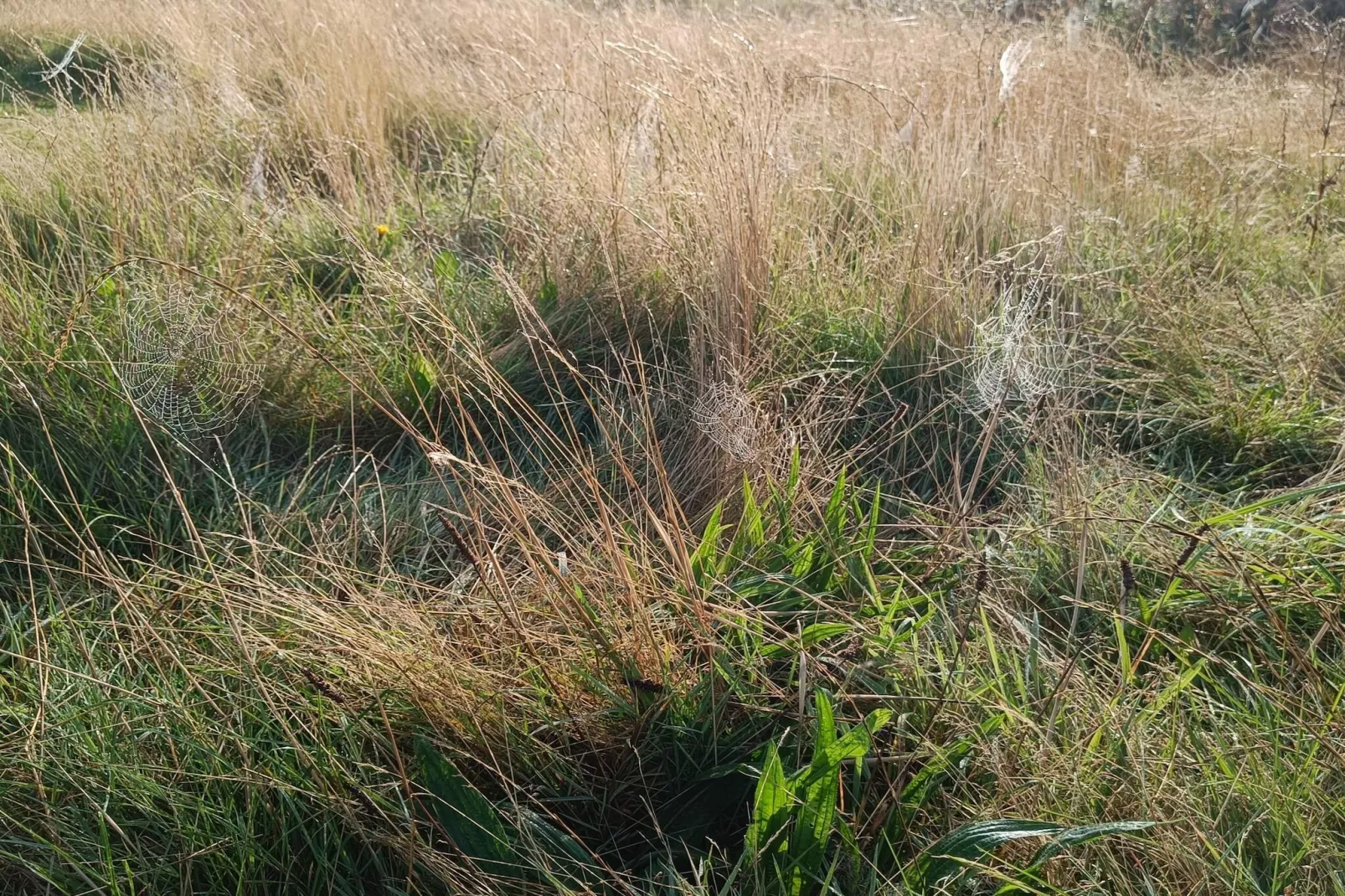 HUS NR. 34- 1.RÆKKE-Nicht zugeordnet