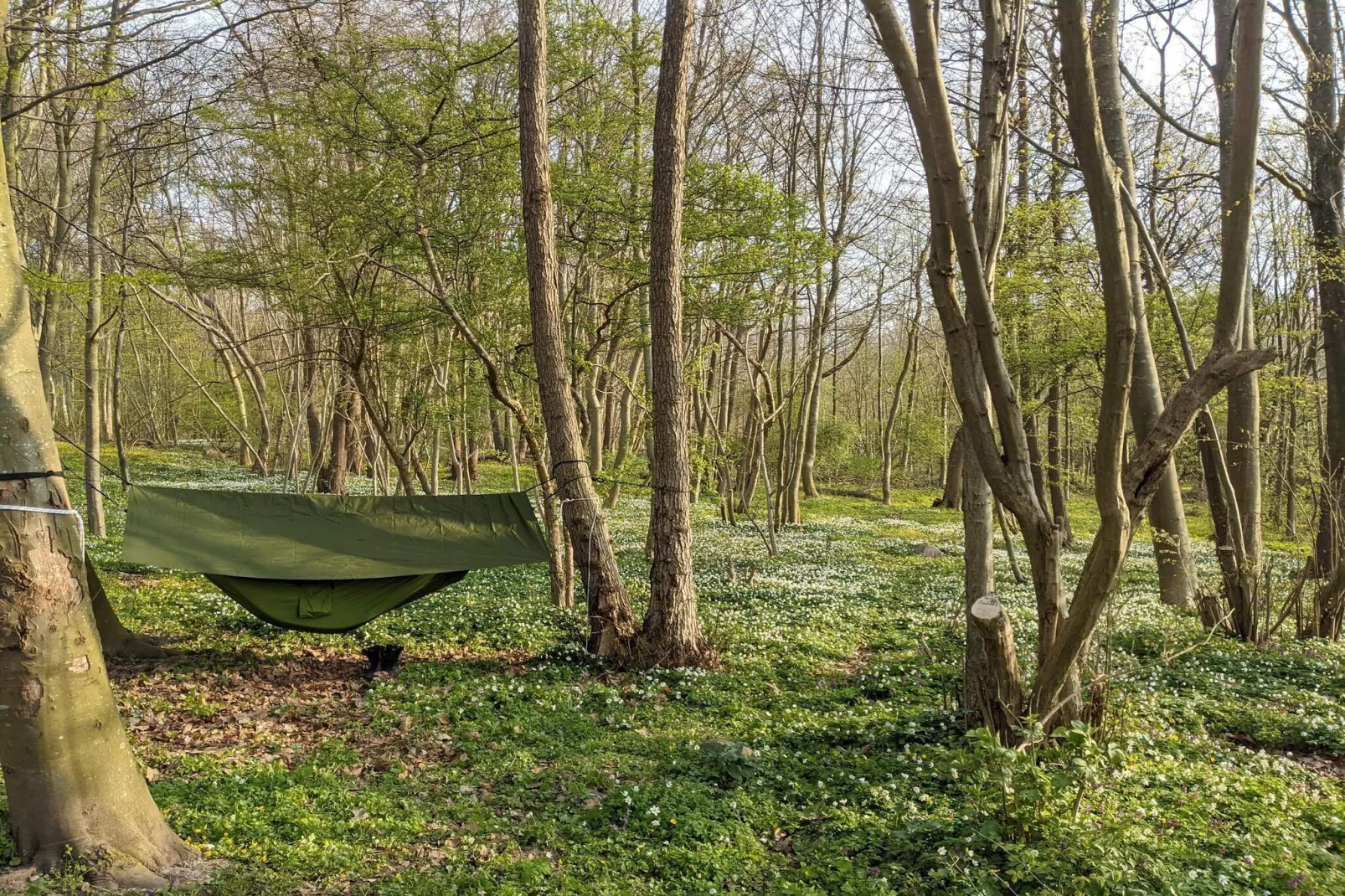 Luxury Retreat by the Sea - By Traum Ferienwohnungen-Untagged