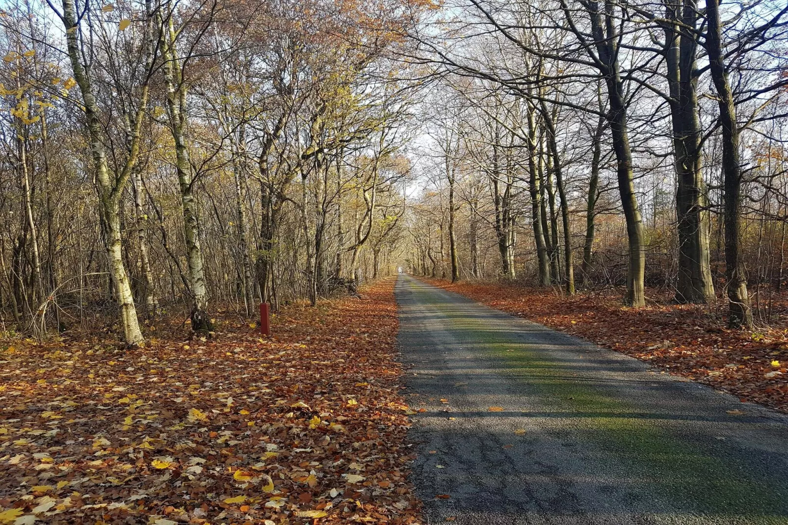 4 Personen Ferienhaus in Toftlund-By Traum-Nicht zugeordnet