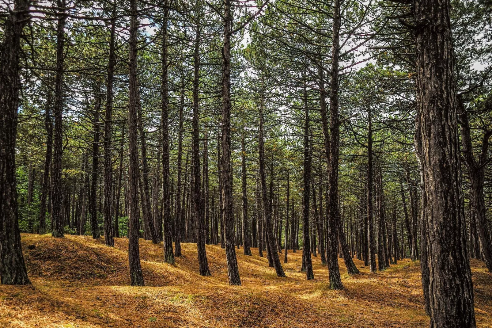 Maison de vacances pour 8 a Rørvig-By Traum-Non tagué