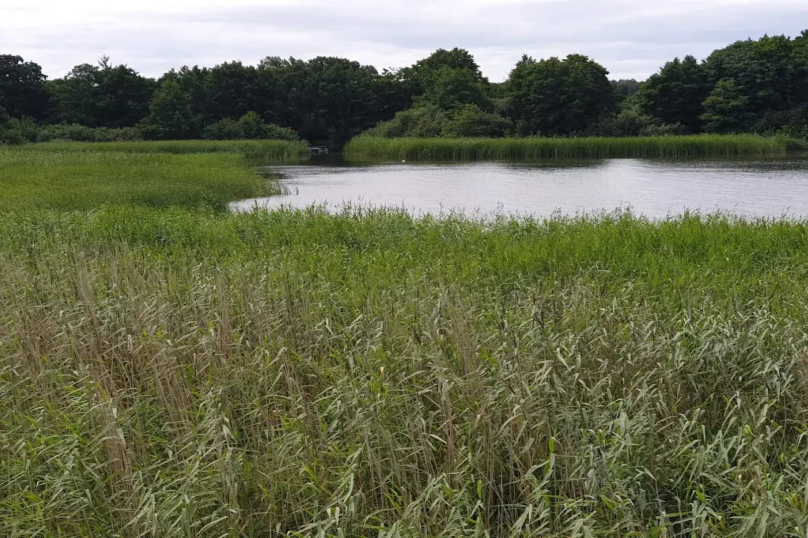 6 Personen Ferienhaus in Ebeltoft-By Traum