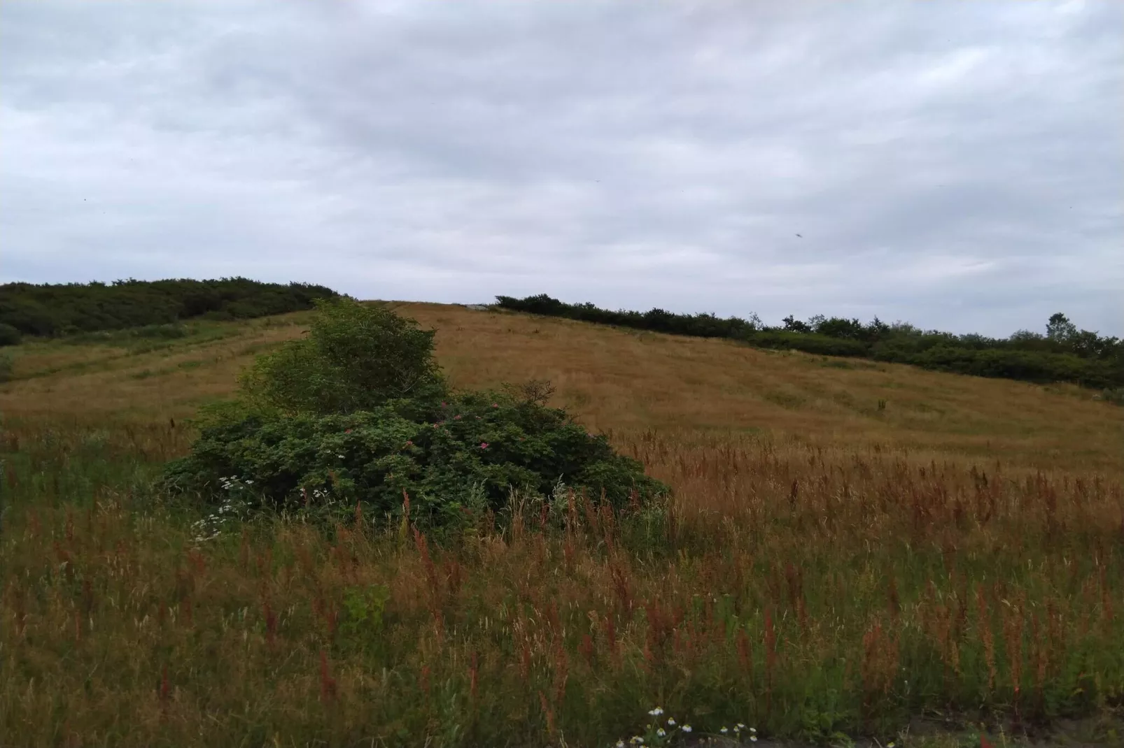 5 Personen Ferienhaus in Esbjerg V-By Traum-Nicht zugeordnet