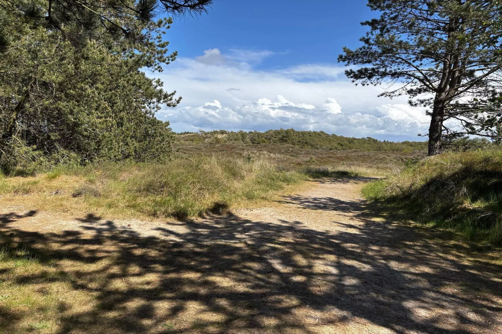 Maison de vacances pour 8 a Rømø-By Traum