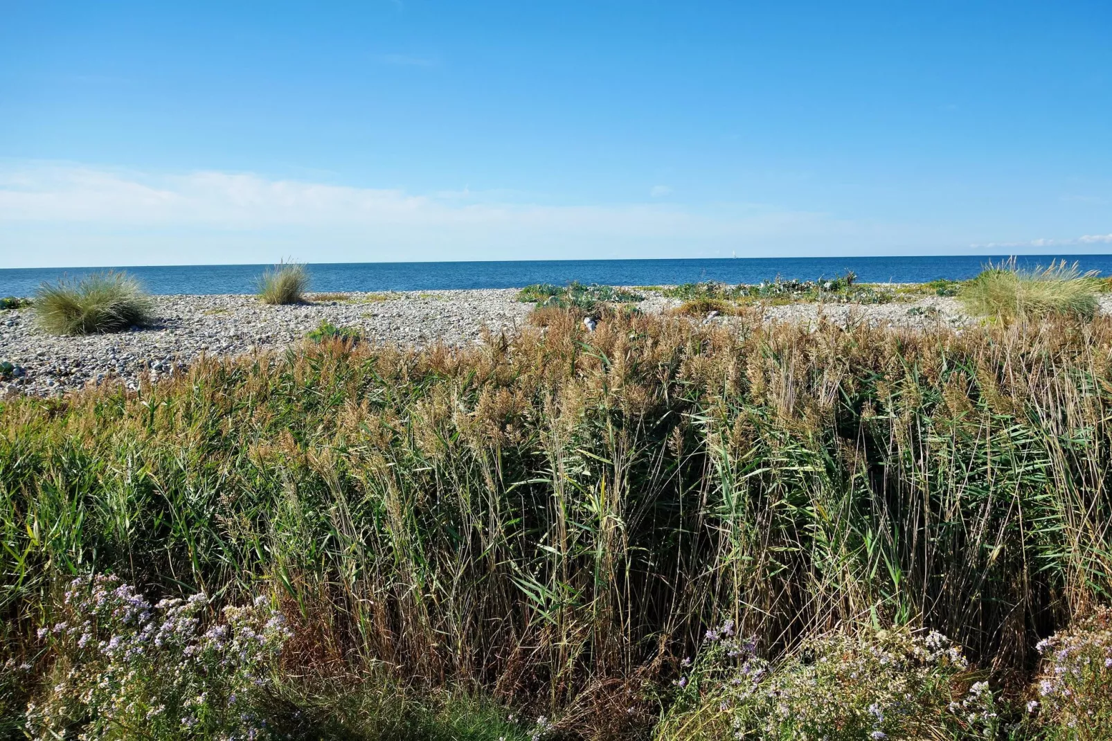 Inselresort Vasco da Gama-Areas within 5km in summer