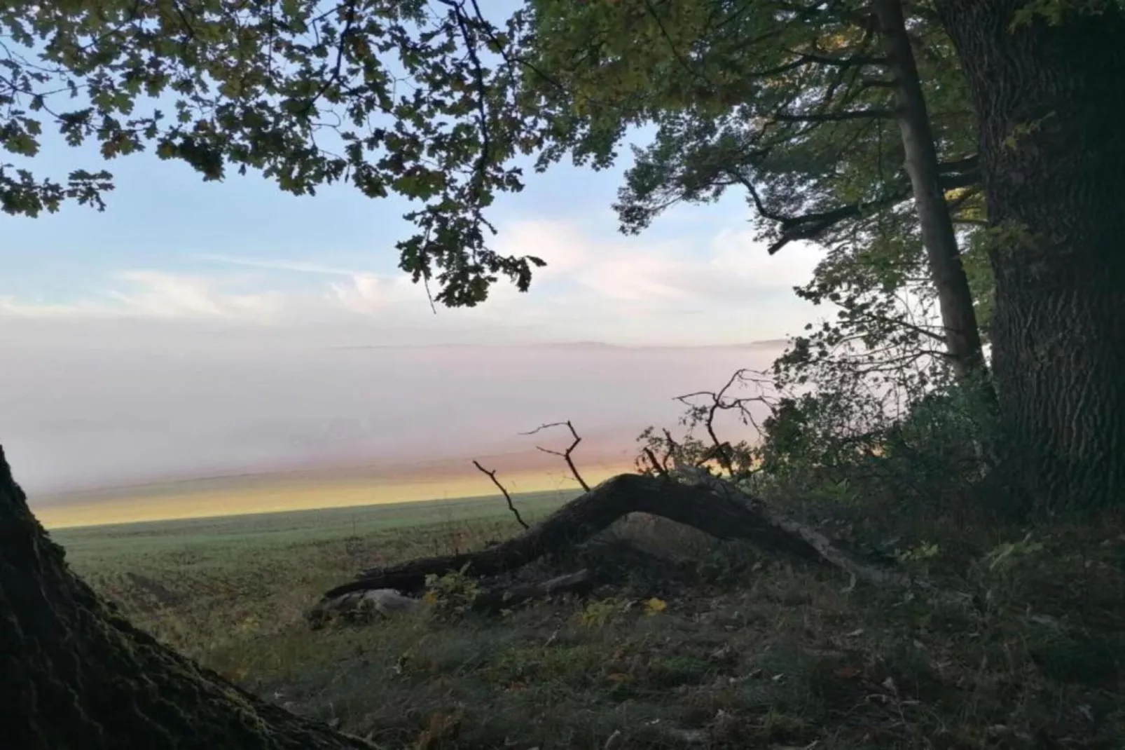 Weserbergland - Bad Pyrmont-Areas within 20km in summer