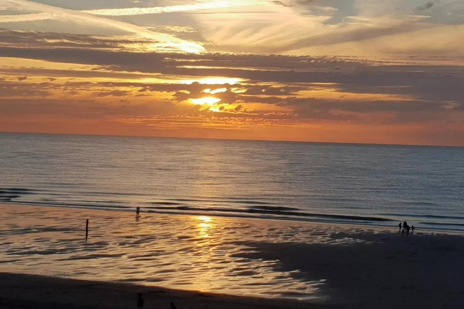 De Zeeuwse Schuur - comfort 4 personen-Areas within 20km in summer