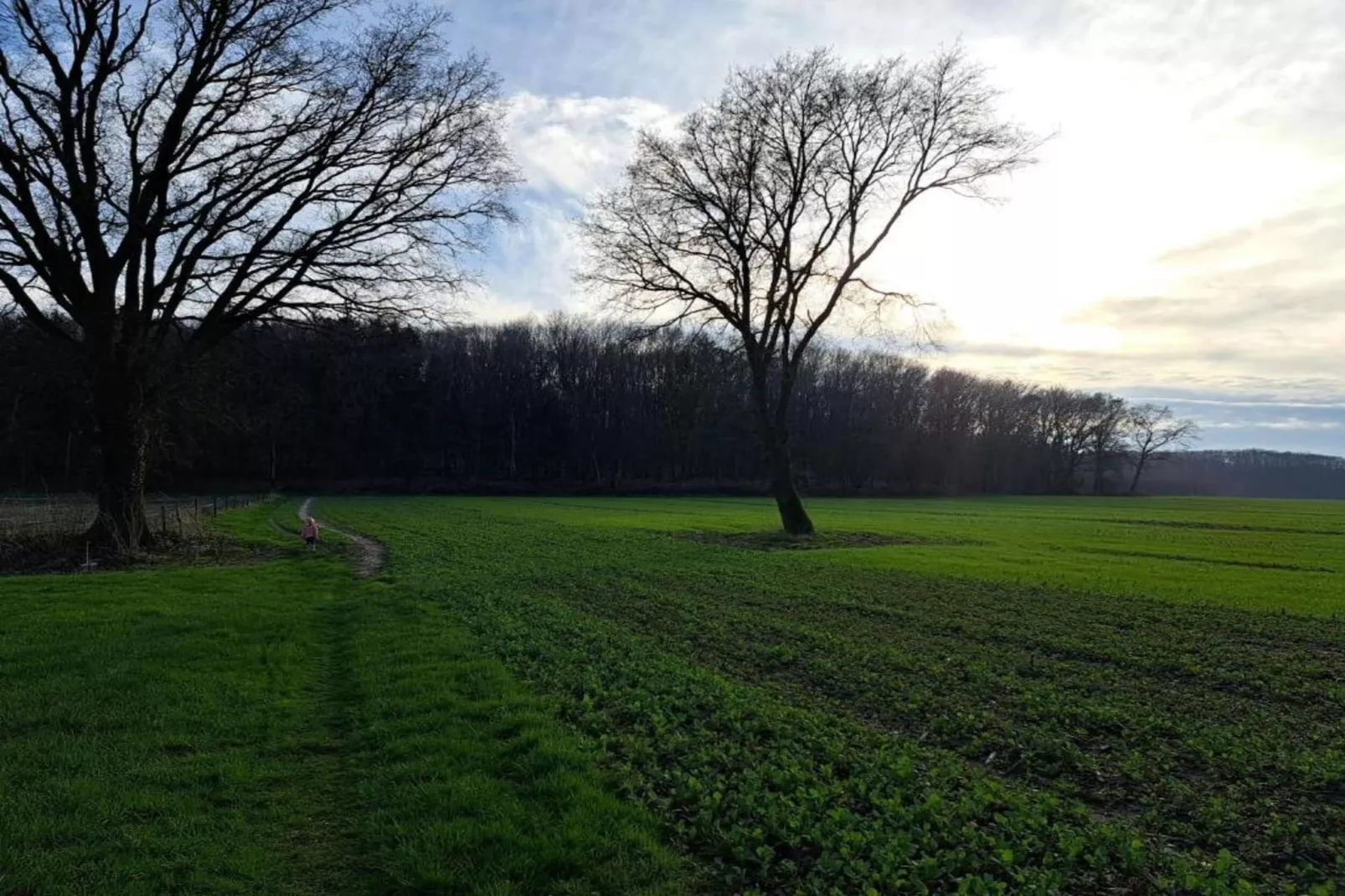 Vakantiepark De Lochemse Berg 1-Areas within 20km in summer