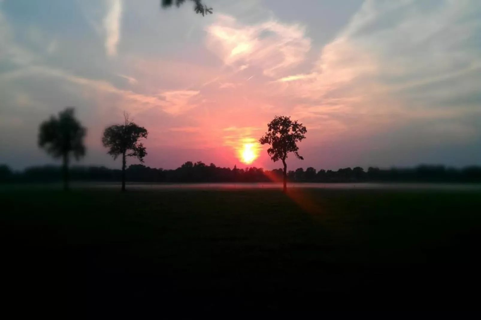 Bospark Markelo 1-Areas within 20km in summer