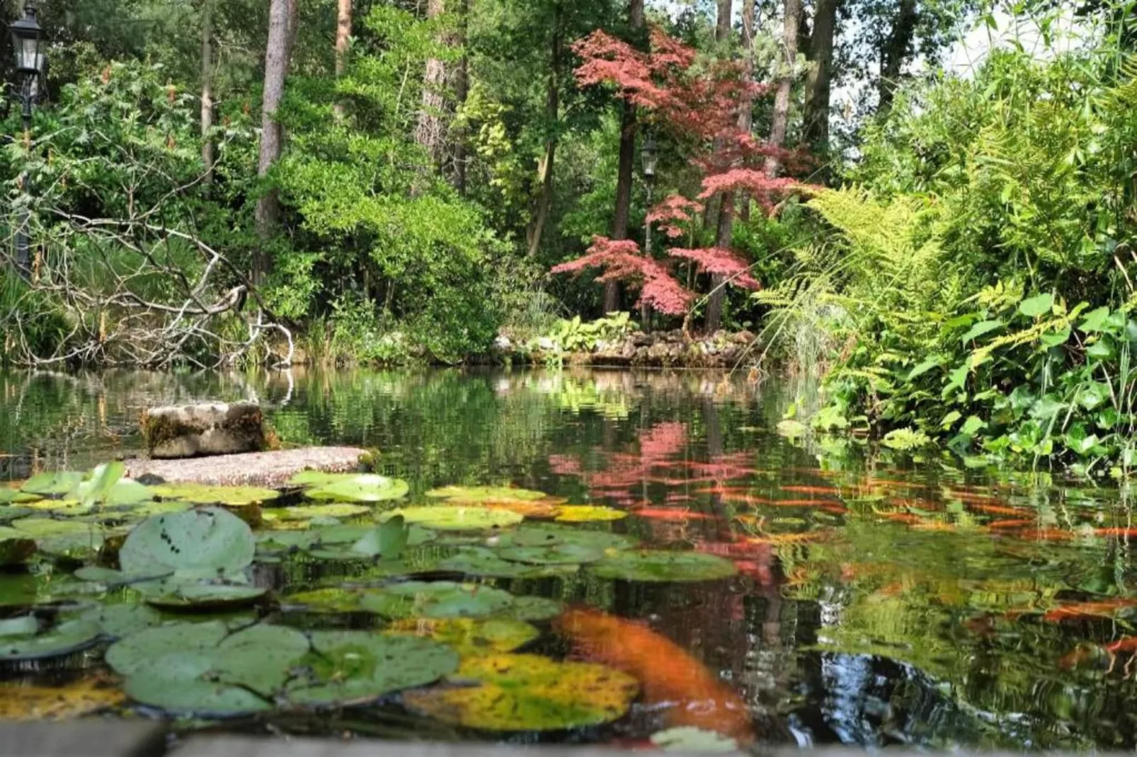 Bospark Markelo 5-Areas within 20km in summer