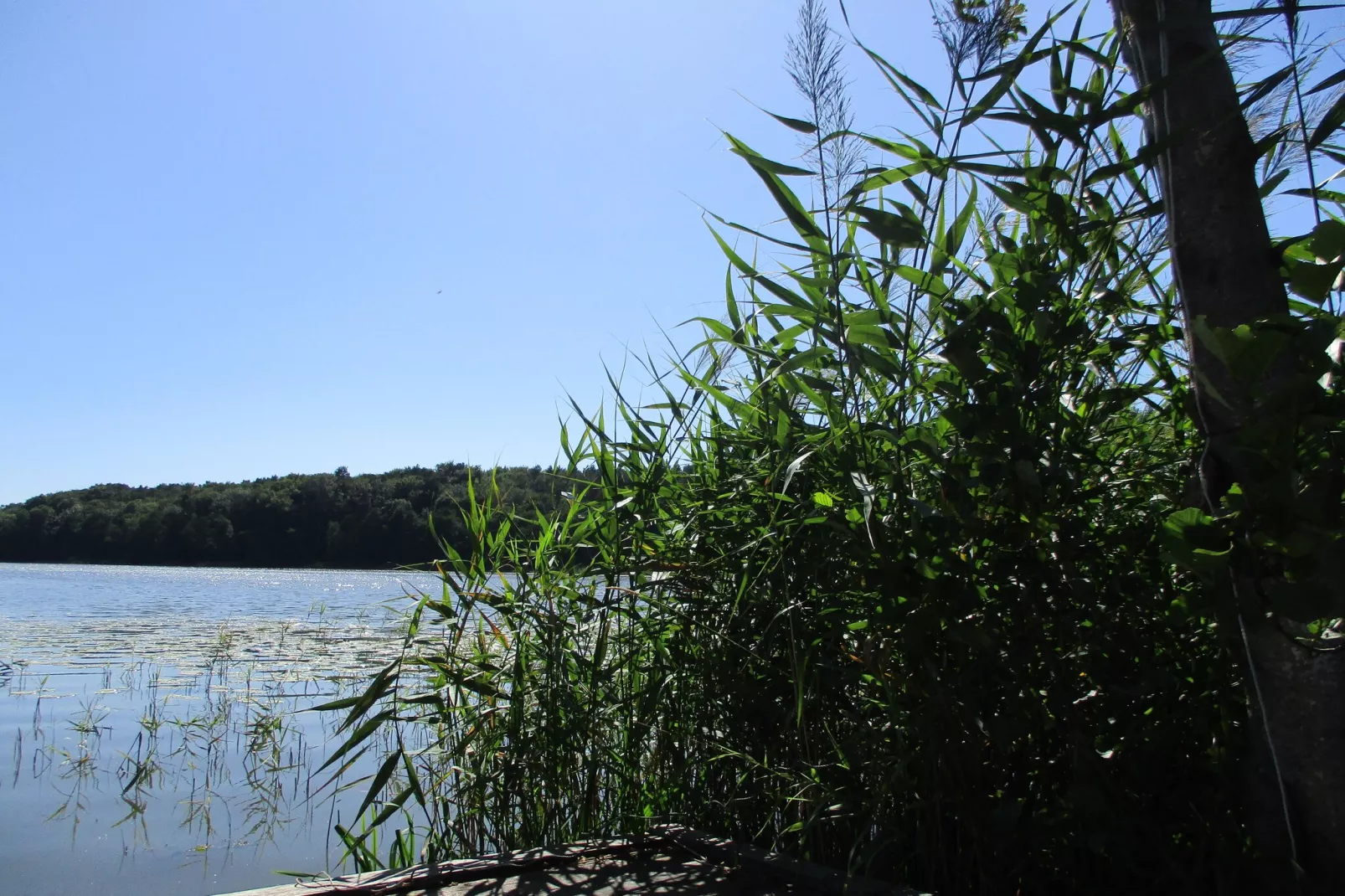 Holiday flat in Kolczewo70 qm for 6 persons-Gebiete Sommer 1 km