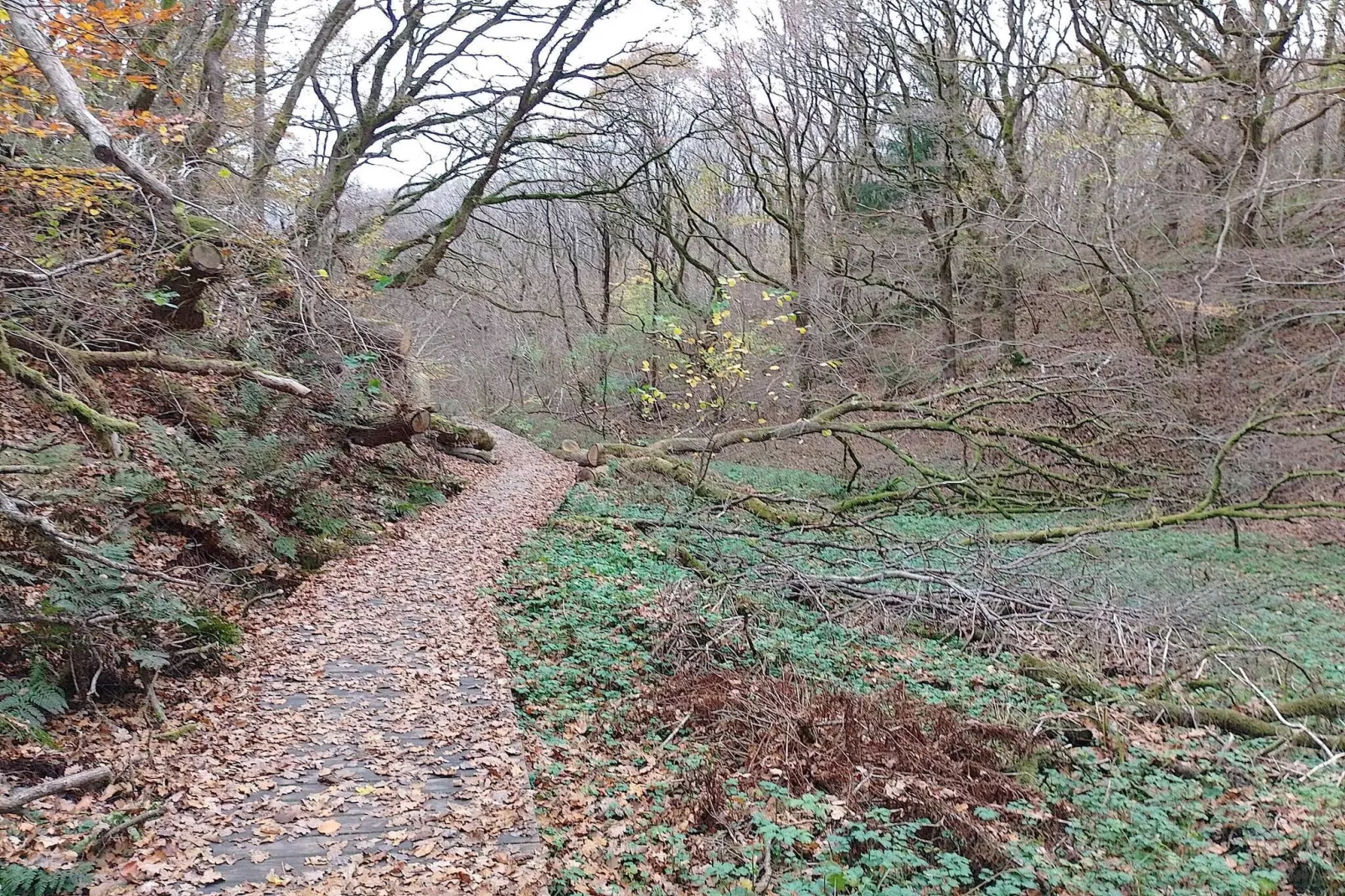 Maison de vacances pour 6 a Glesborg-Non tagué