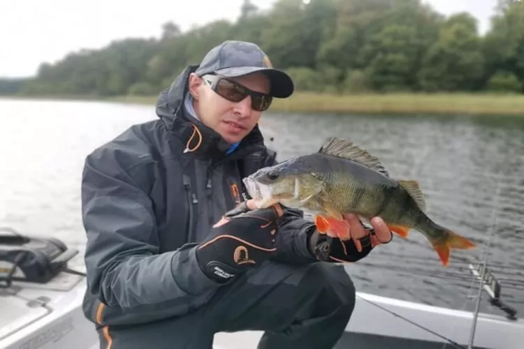 Dom wakacyjny w Oświnie-Gebiete Sommer 1 km