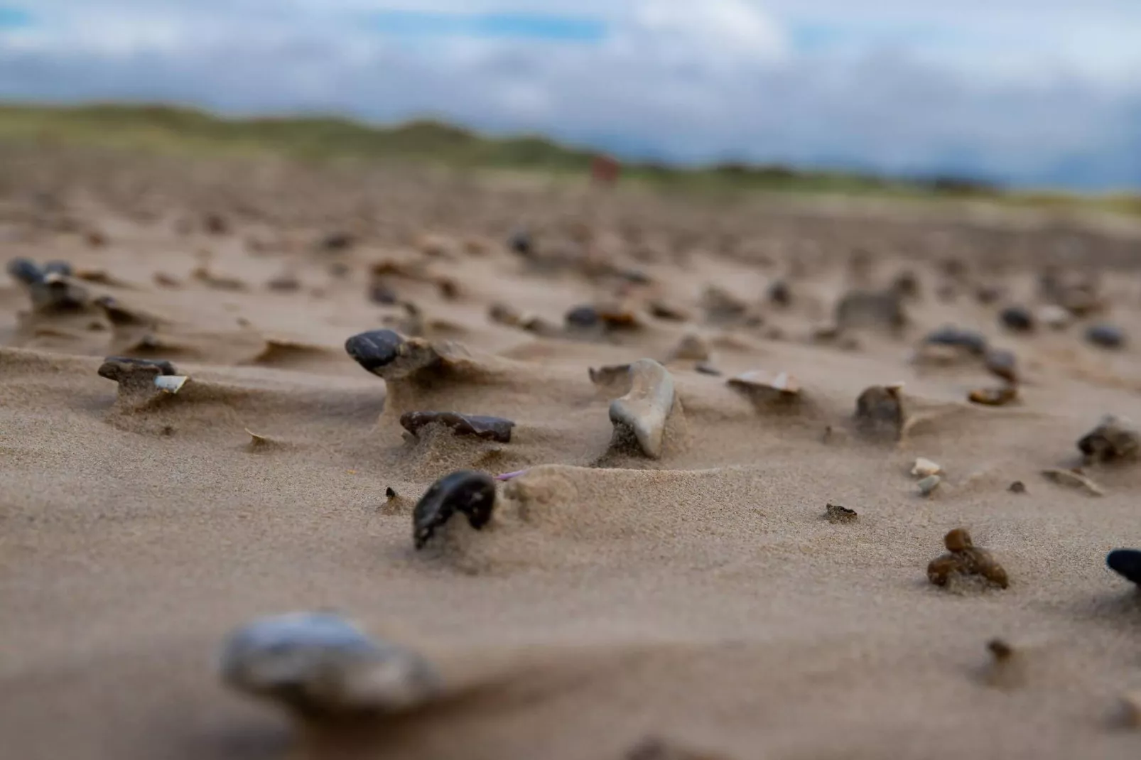 6 person holiday home in Saltum-By Traum-Untagged