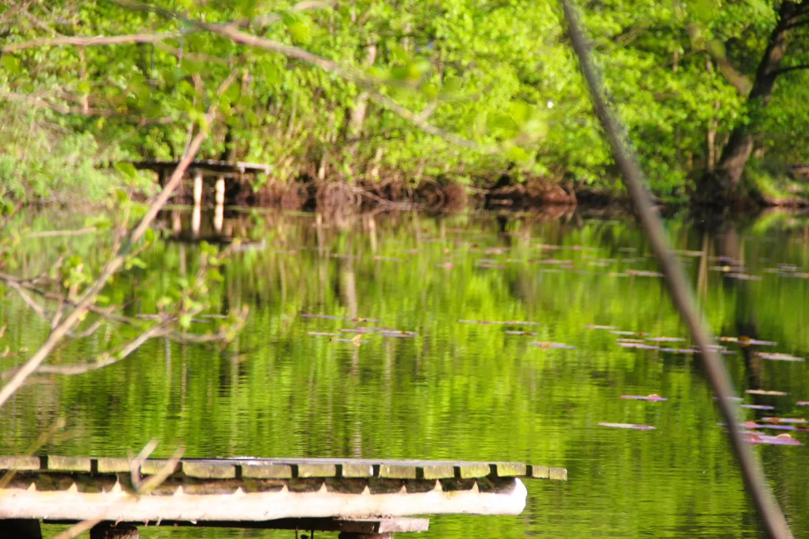 Holiday accomodations Kolczewo Nr 5-Areas within 1km in summer