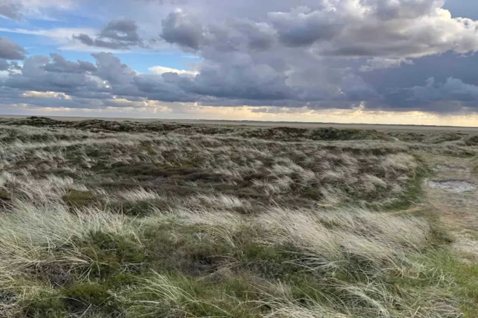 Luxury Retreat with Sauna - By Traum Ferienwohnungen-Untagged