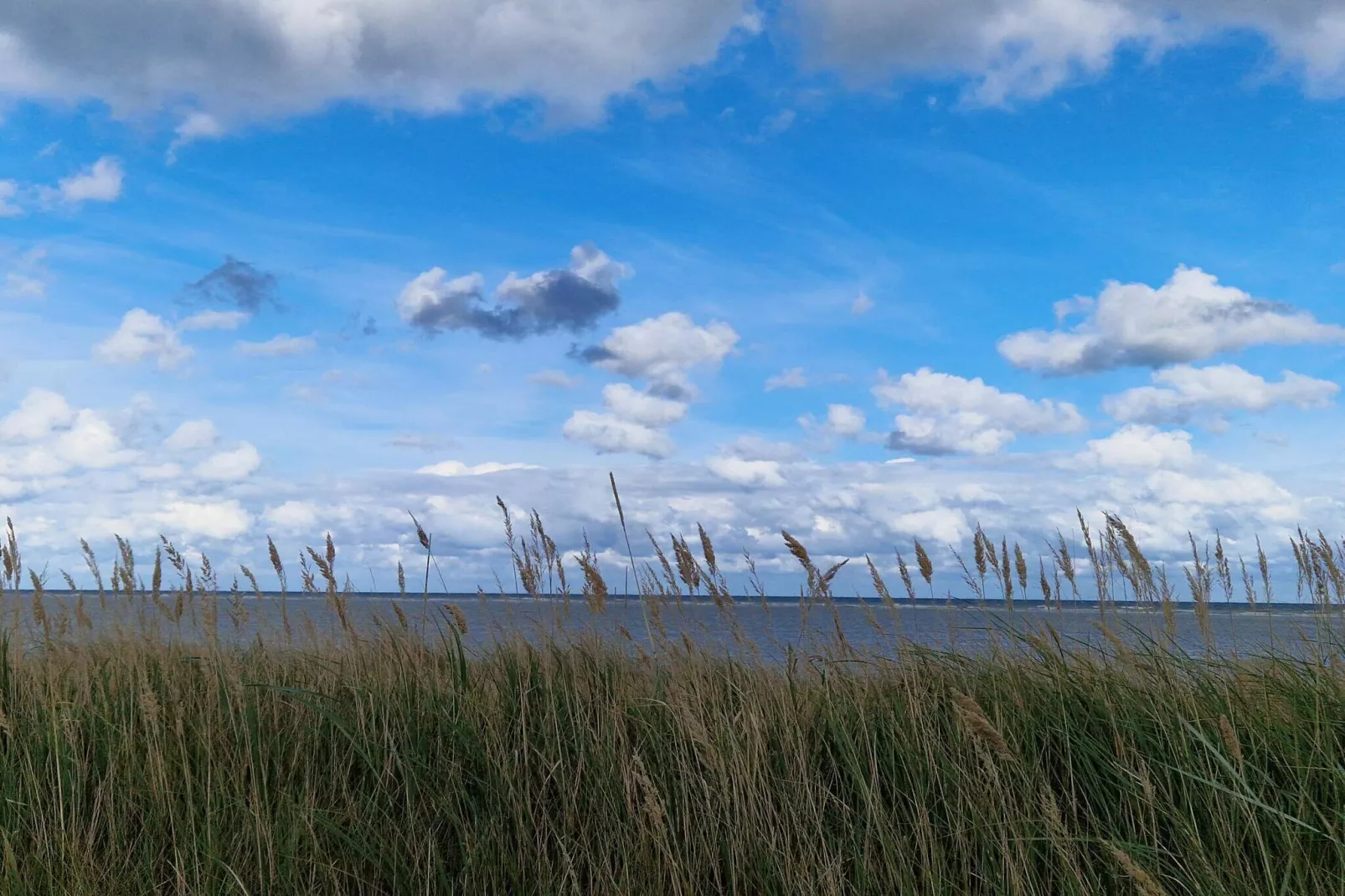 Maison de vacances pour 6 a Grenaa-By Traum-Non tagué