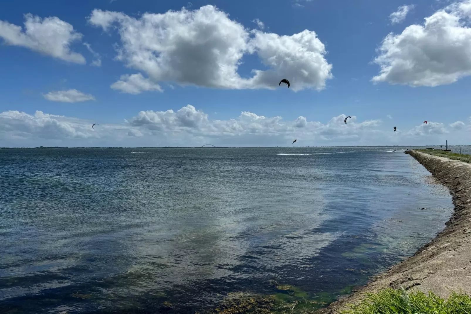 FeWo EG E-37-Areas within 1km in summer