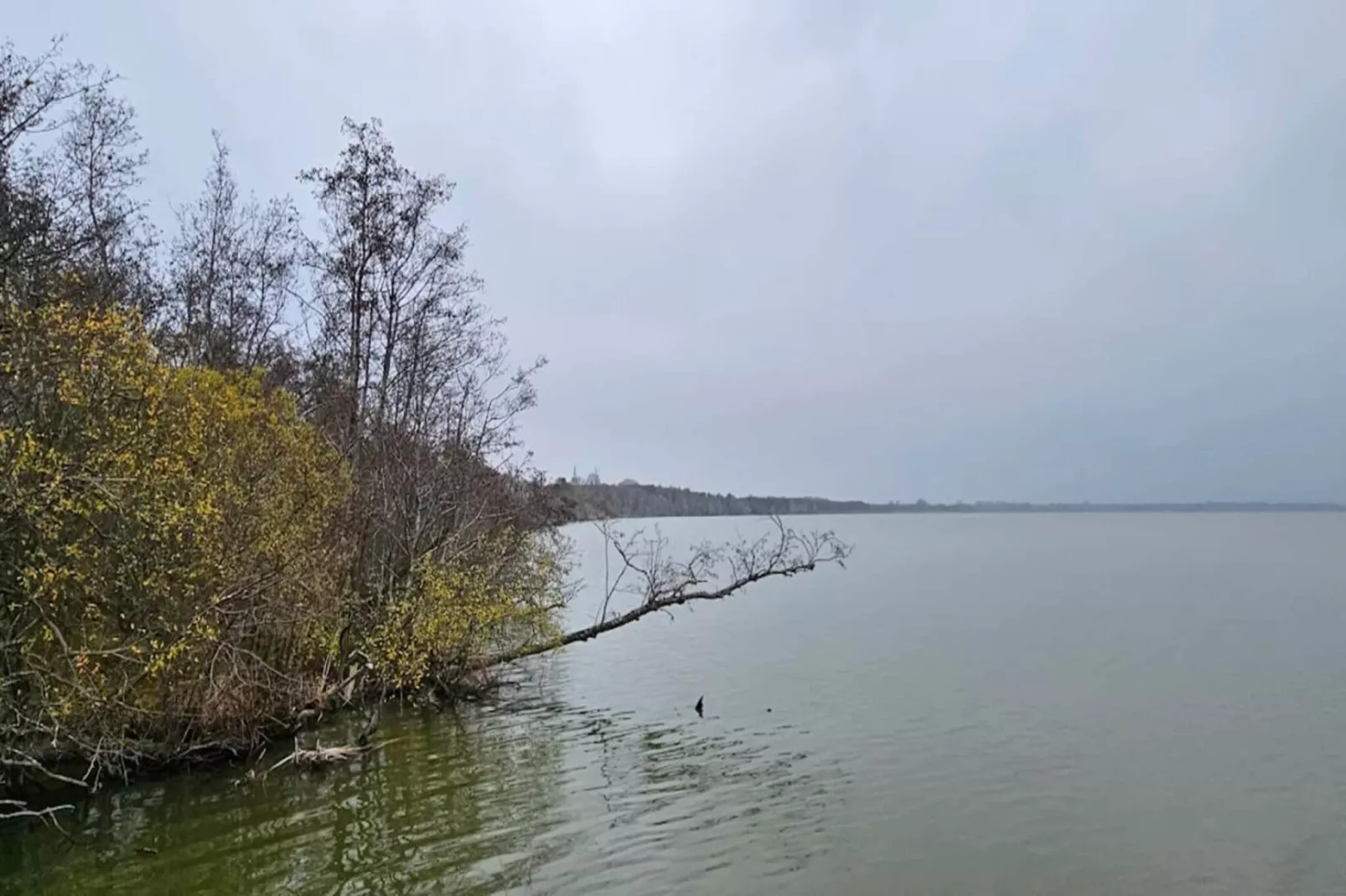 Maison de vacances pour 4 a Frederiksværk-By Traum-Vue sur l'eau