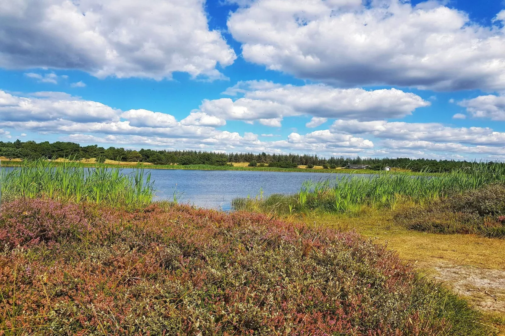 10 person holiday home in Oksbøl-By Traum