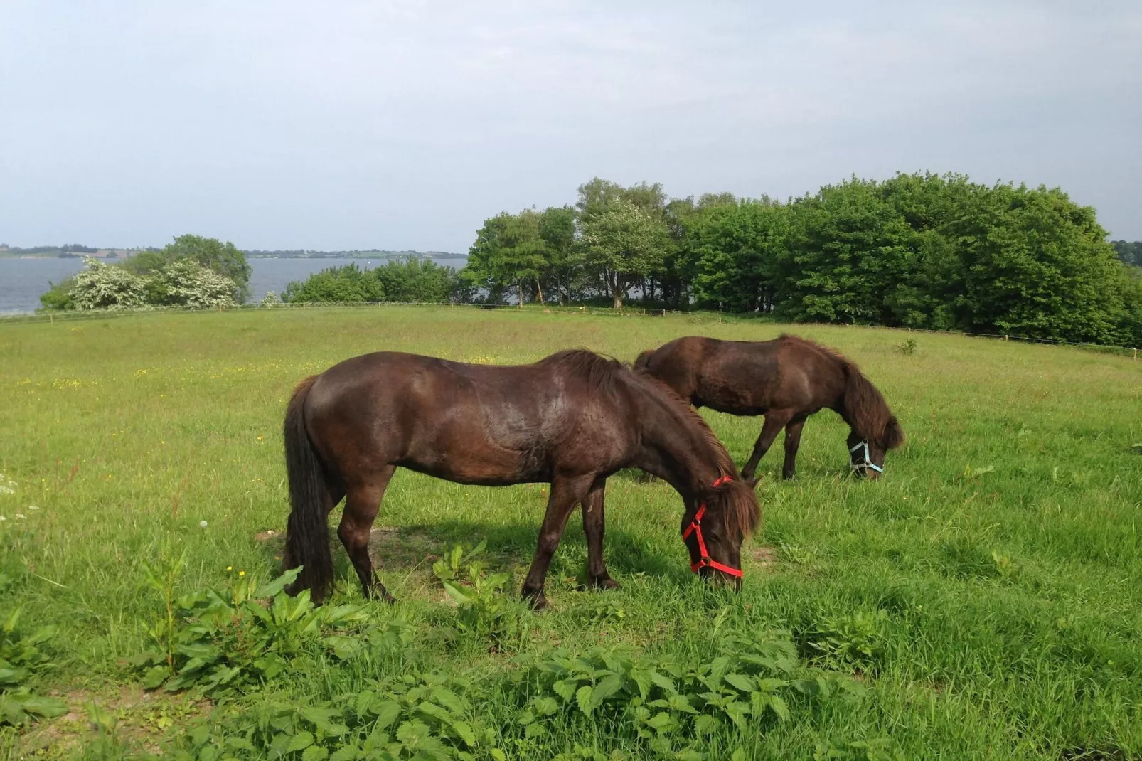 Maison de vacances pour 6 a Aabenraa-By Traum