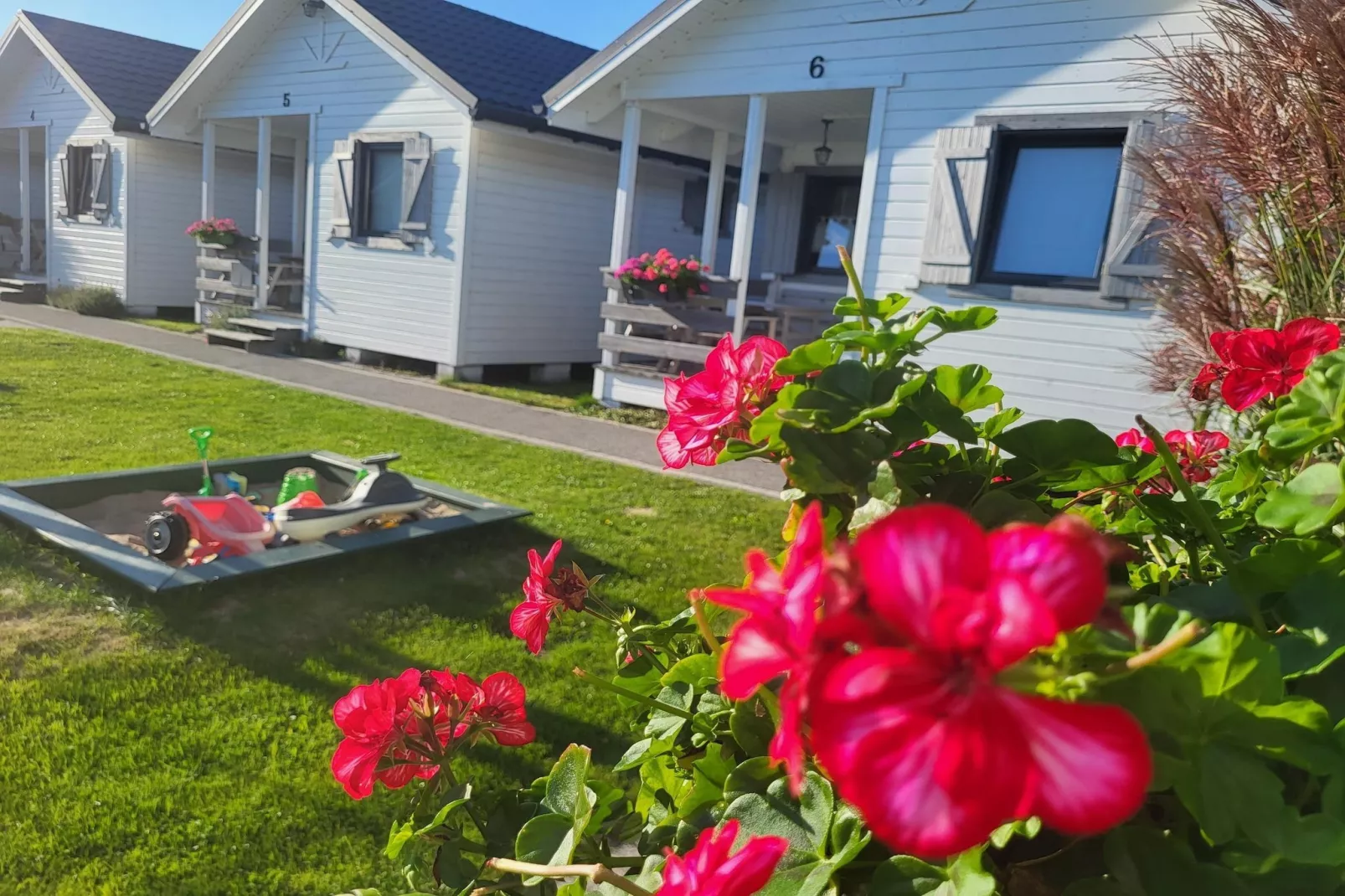 Domki wakacyjne w Gąskach-Gardens in summer