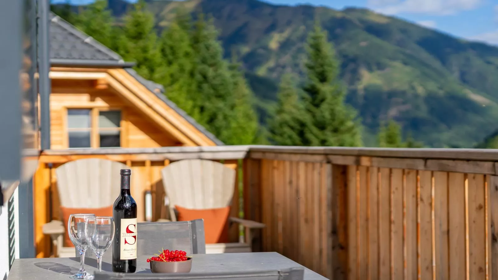 Edelweiss Lodge-Terrace balcony