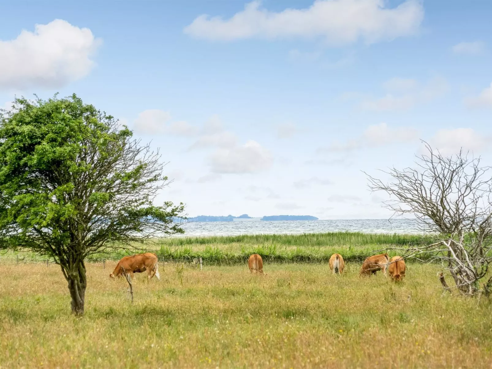 "Bernadete" - 50m to the fjord