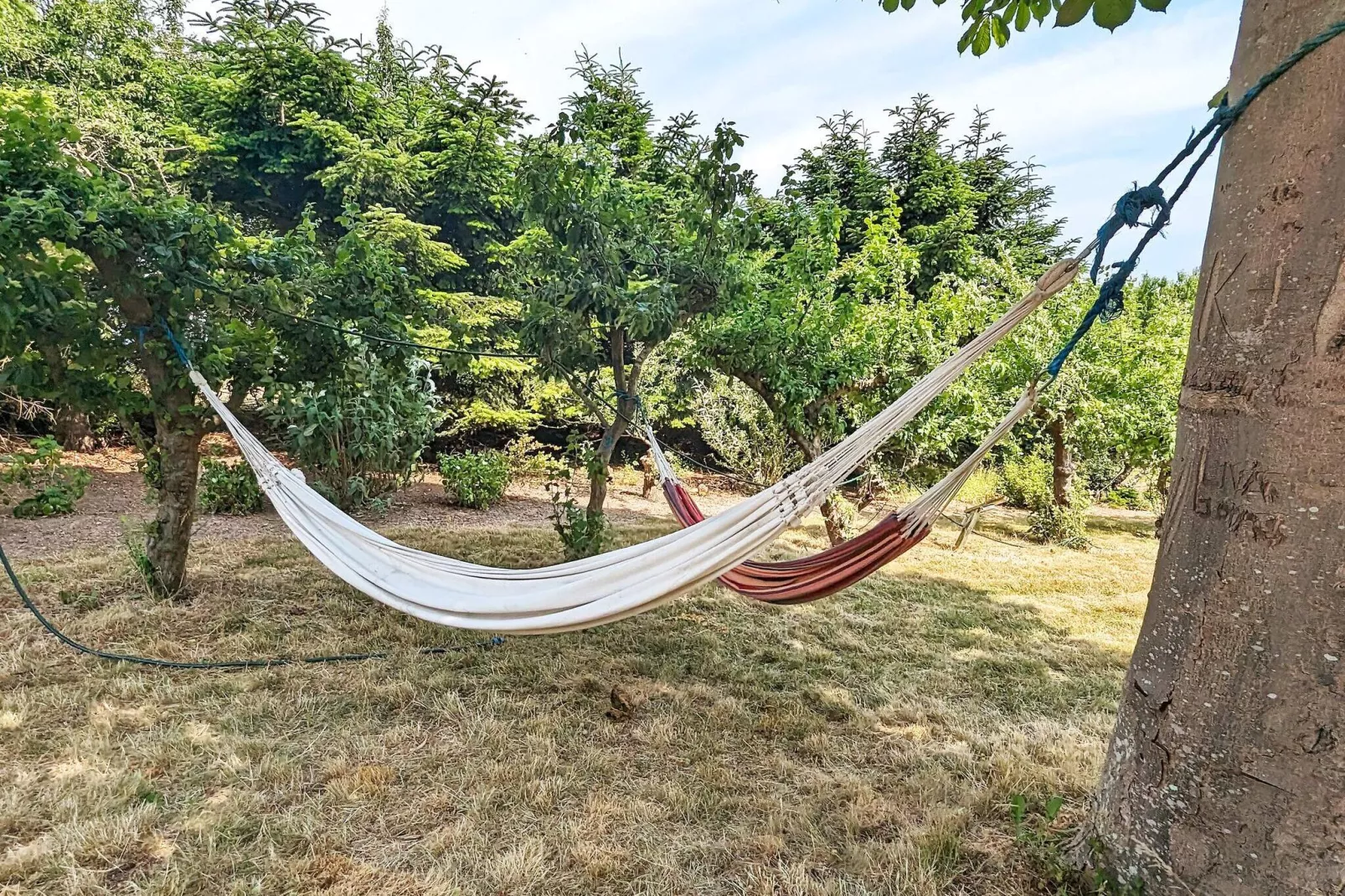 6 person holiday home in Søby Ærø-By Traum-Outdoor
