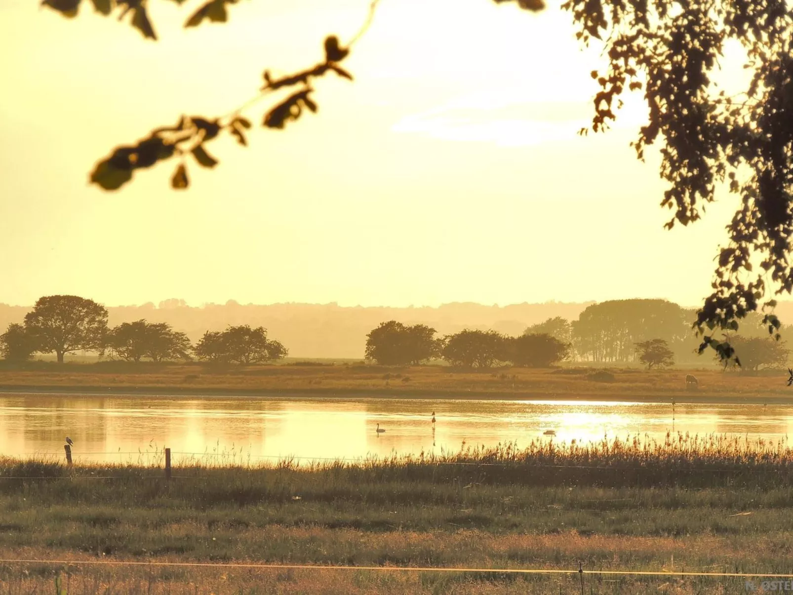 "Margareta" - 250m to the fjord
